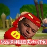 东方之🐷 VS 西方之🐷 be like.....