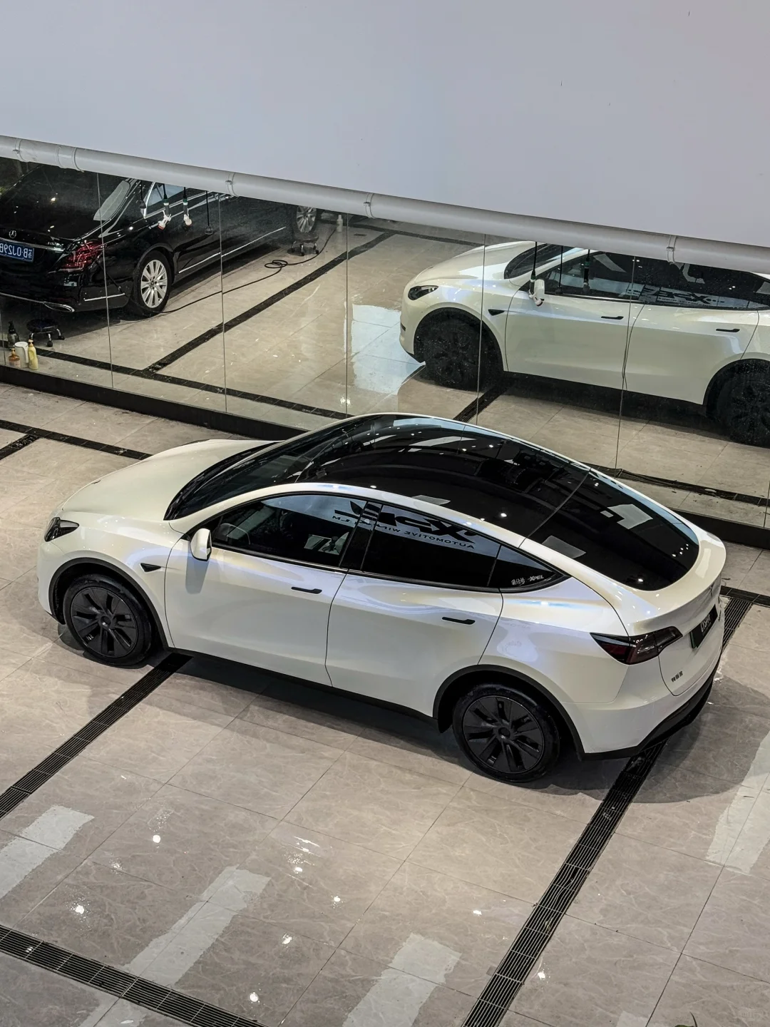 果然油光锃亮 | 还得是白色Modely满眼