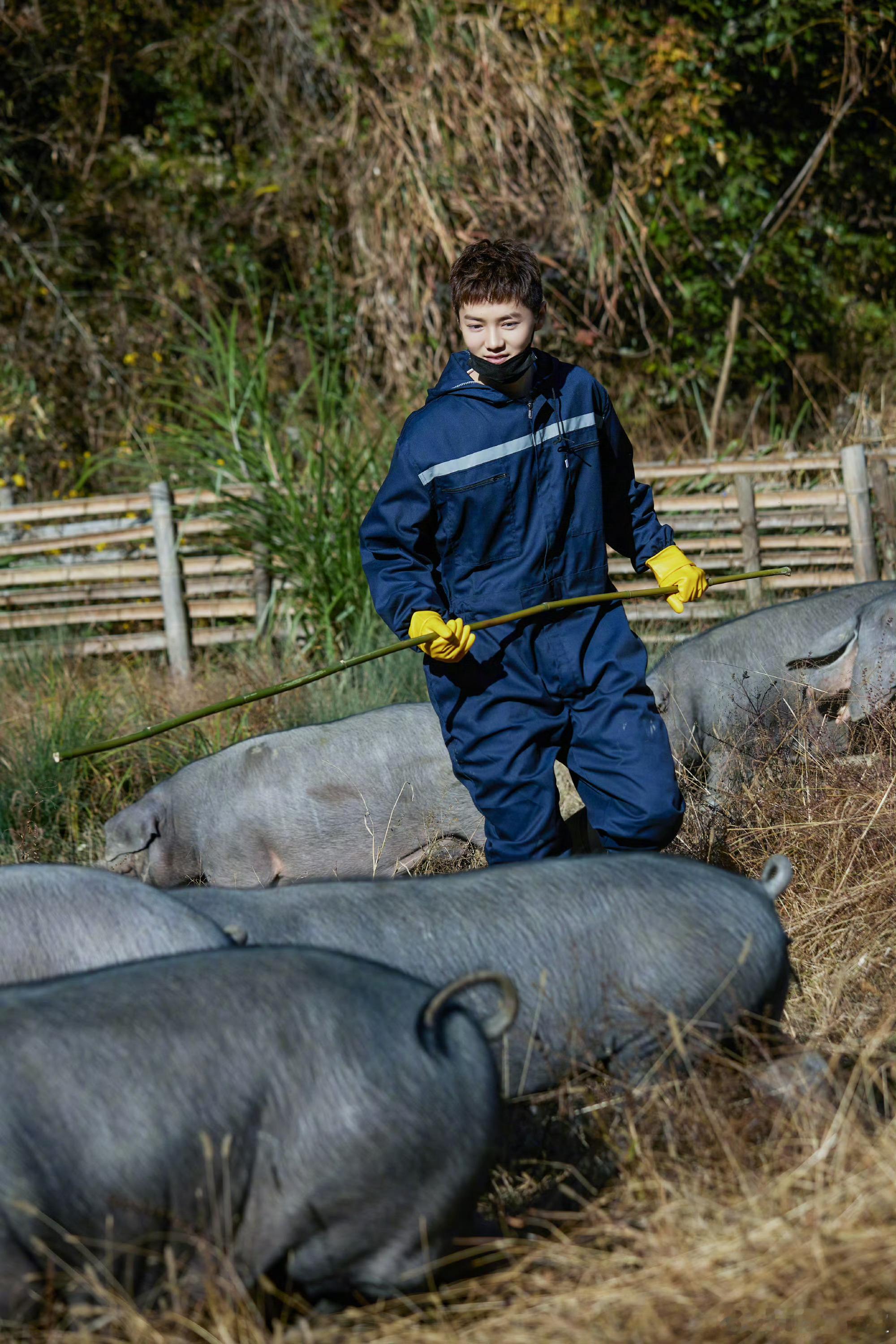 看到小芦要问我什么是ybc这这这？ 
