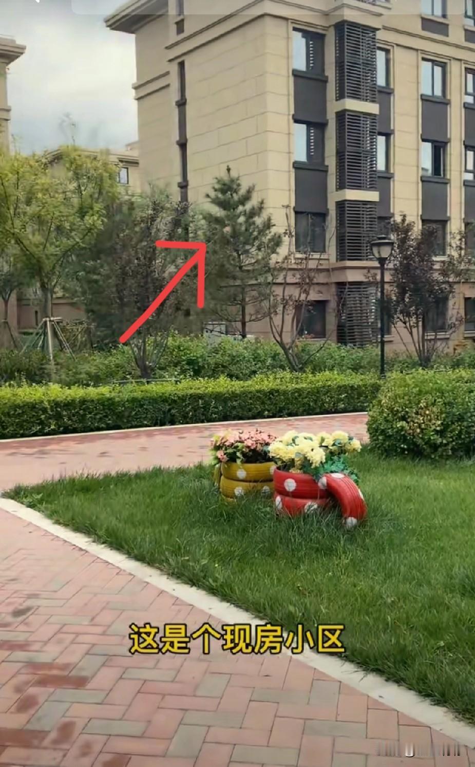 拥有的才是最珍贵的！！！

看了香港的火灾，我默默地把我那套老破小位于3楼的步梯