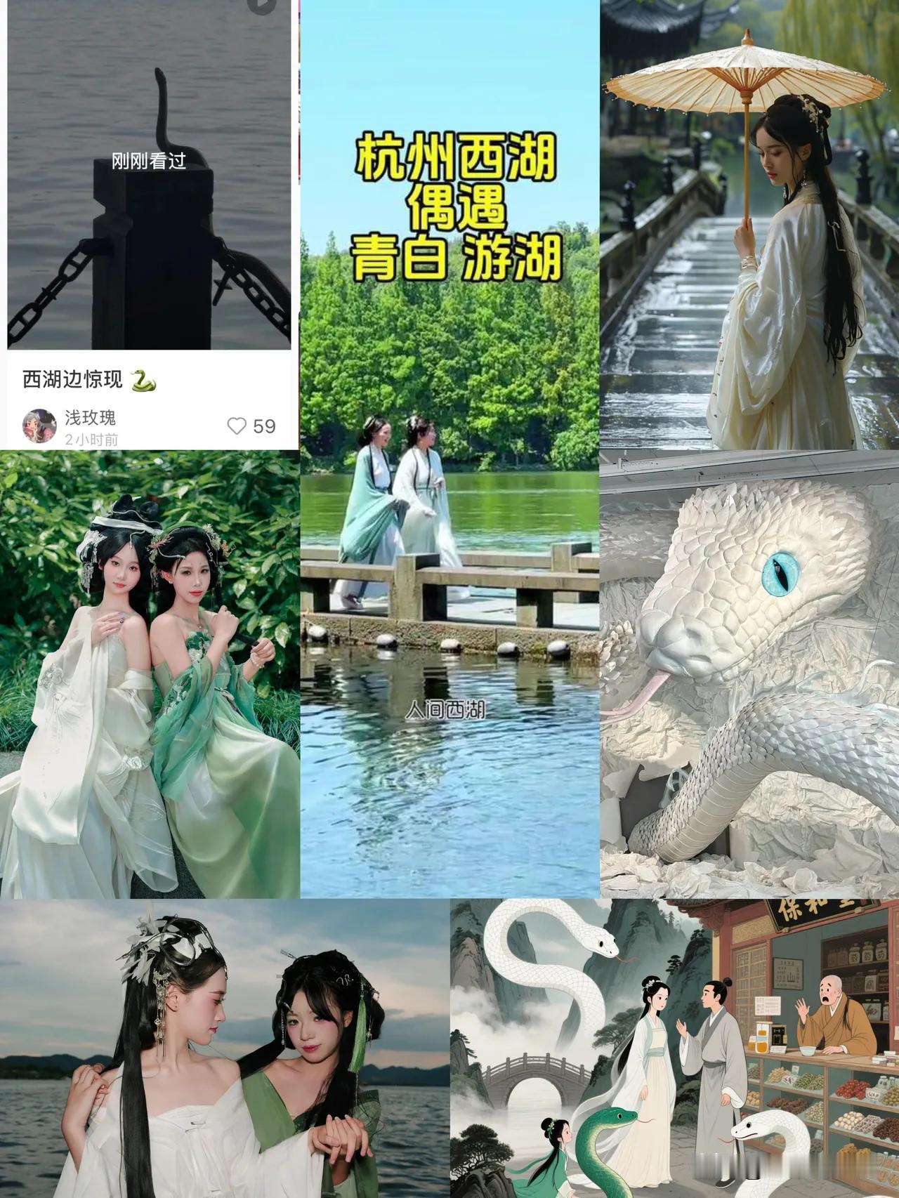 谁能想到，千年白蛇传说居然在杭州现实上演，这波奇遇也太有氛围感了！短短六天时间，