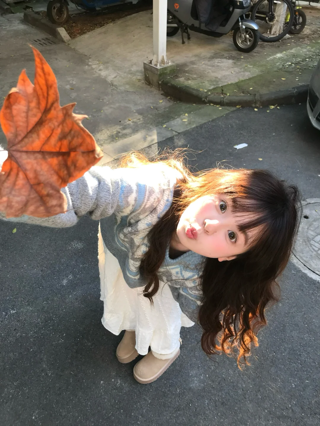 捡一片秋/ᐠ. ｡.ᐟ\੭🍂