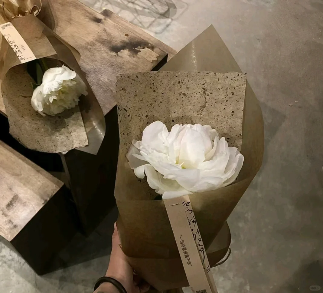 恋爱前请睁眼1.2
