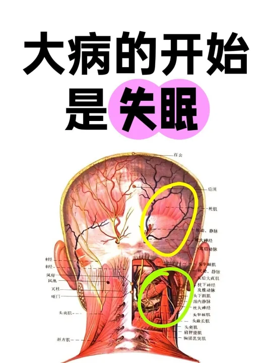家人们，我必须得跟你们唠一唠！失眠这事儿啊，根本就不是啥解不开的死结...
