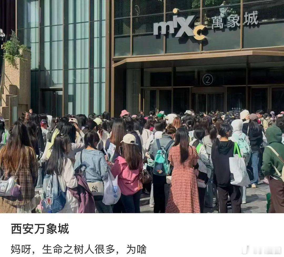 丁禹兮西安线下人气太爆了，火火的很安心，今天也很帅气～ 