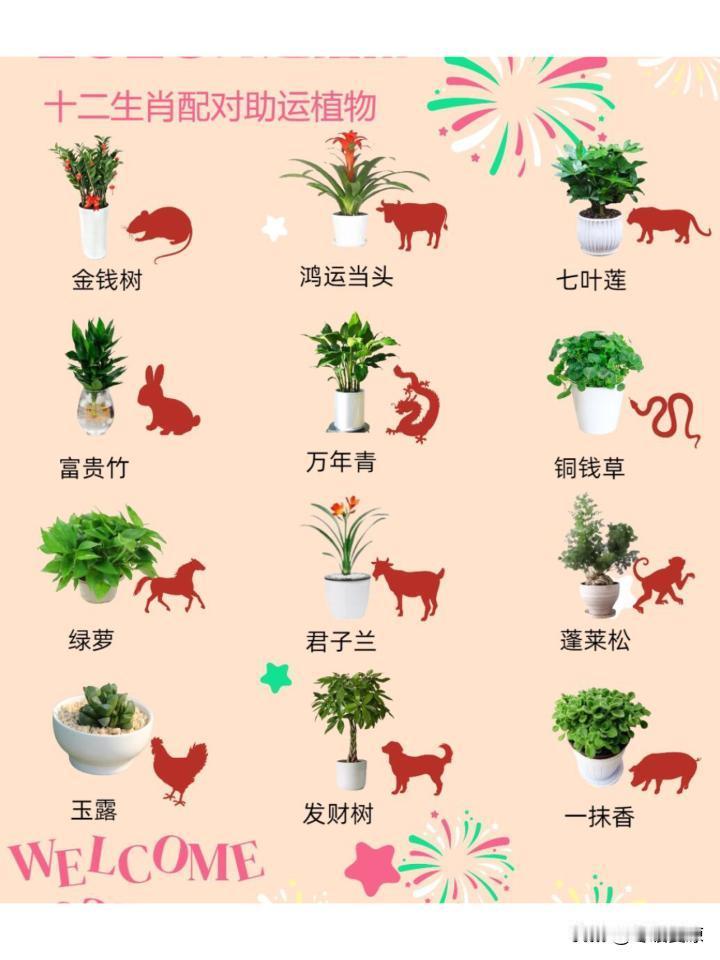 十二生肖谁最傻谁最精
 
1. 外傻内精：肖鼠，肖狗，肖猪
外表看着憨厚随和、不