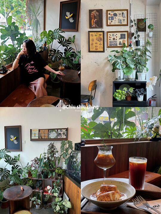 📍在佛山！！🍃好舒服好Chill的一家小店