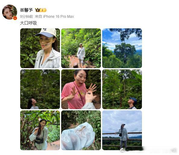 张馨予何捷同游云南，她大口呼吸享受自然，两人同框画面太甜！这波出游日常让人羡慕～