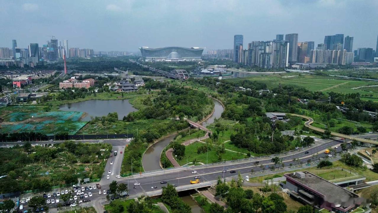 湿地公园美图分享 湖边湿地美景 湿地生态游赏地 绝美湿地公园