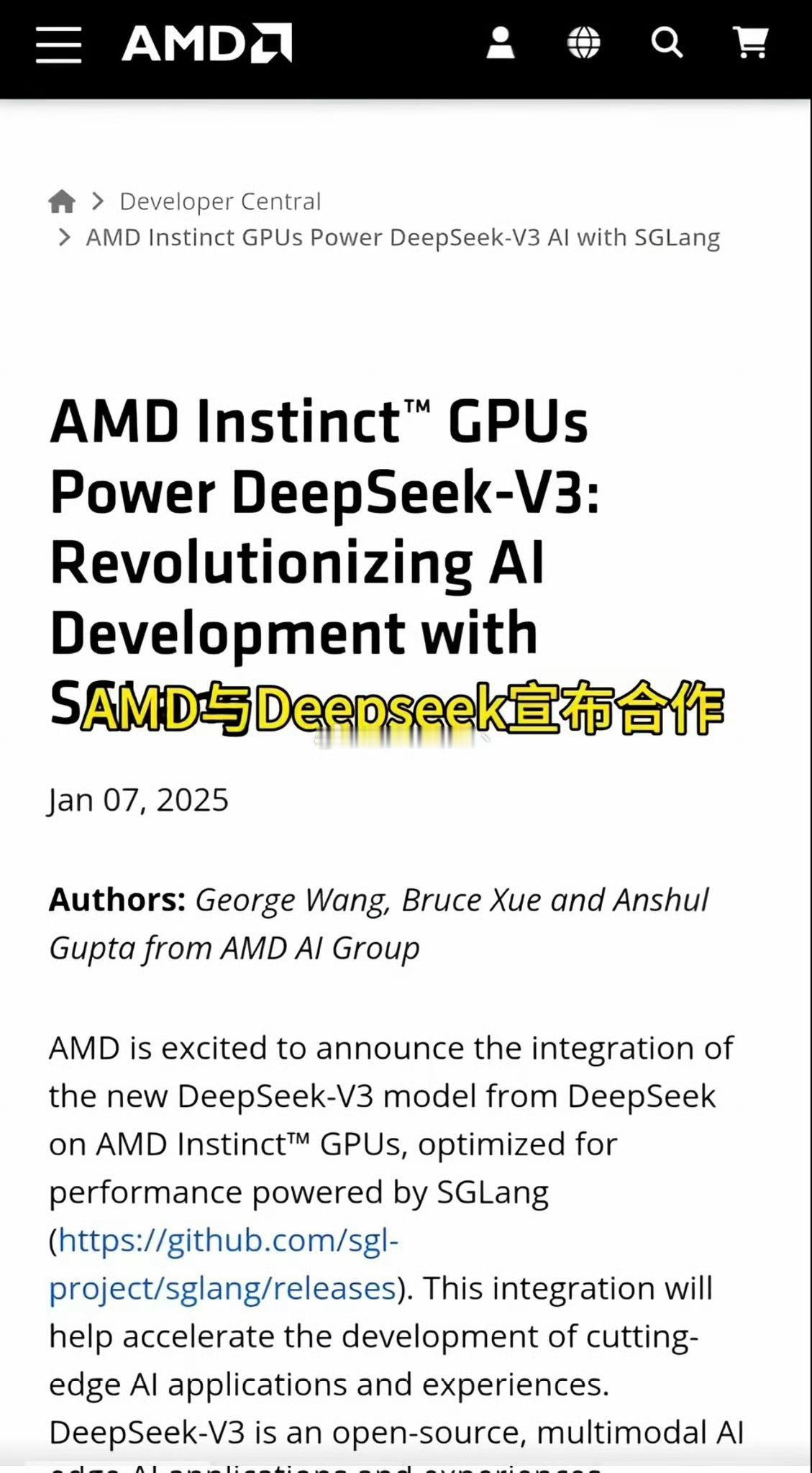 deepseek  AMD：我翻身的机会来了？ 得抱紧deepseek大腿[二哈