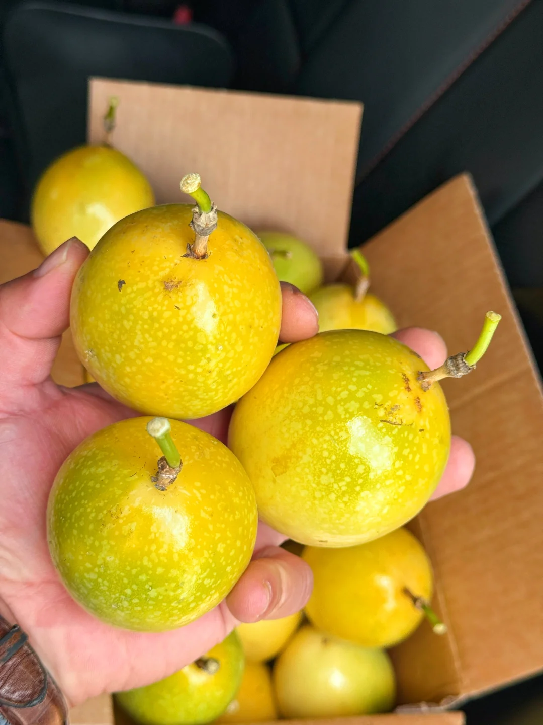 9.9一箱包邮的百香果！现在不吃等一年！