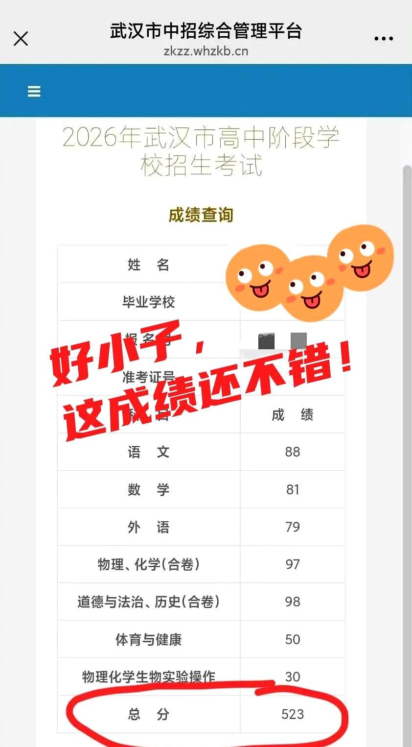 523分，算不算惊喜？
反正我看到成绩单那一刻，心里直接一块大石头落地了。

武