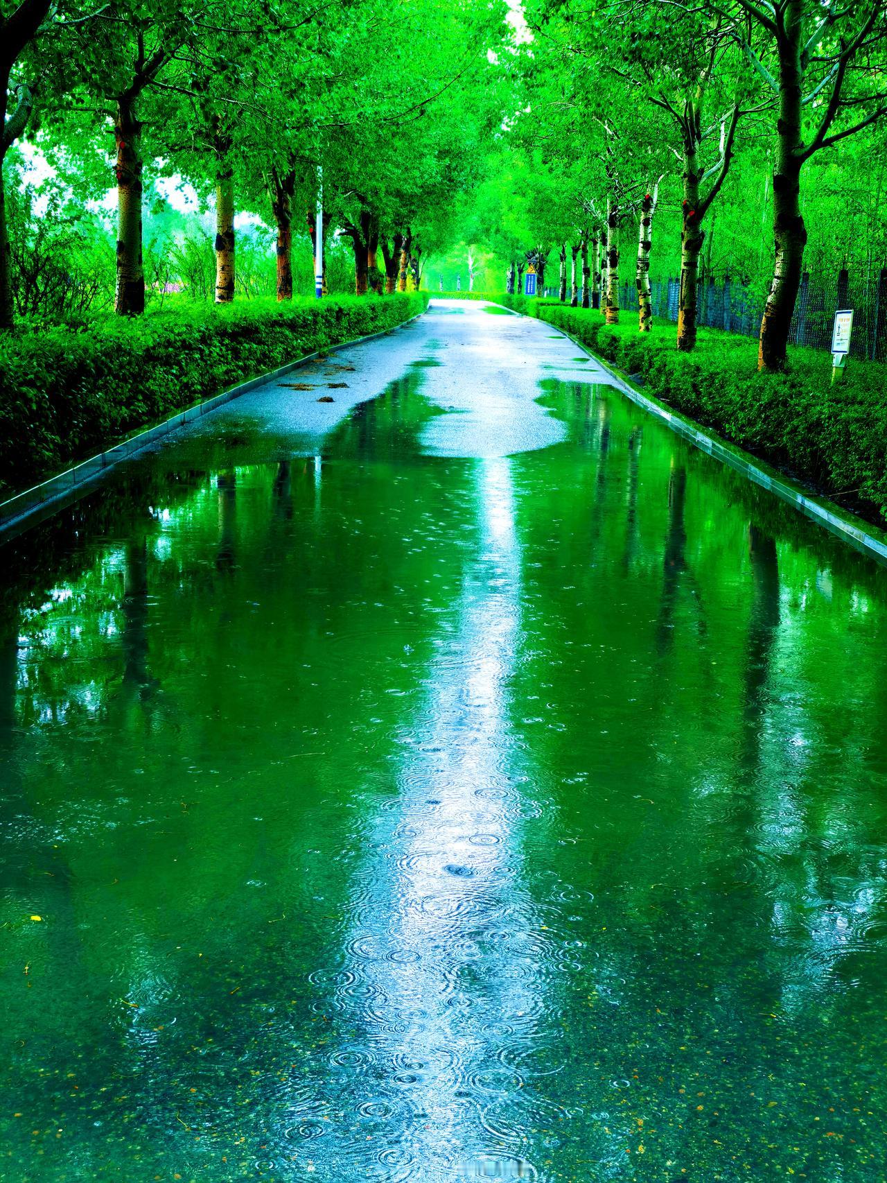 第一场雨