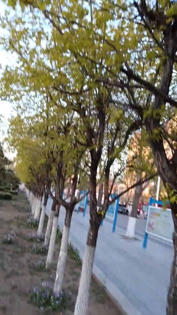 张三郎歌曲第一场六十分钟消费邀请。