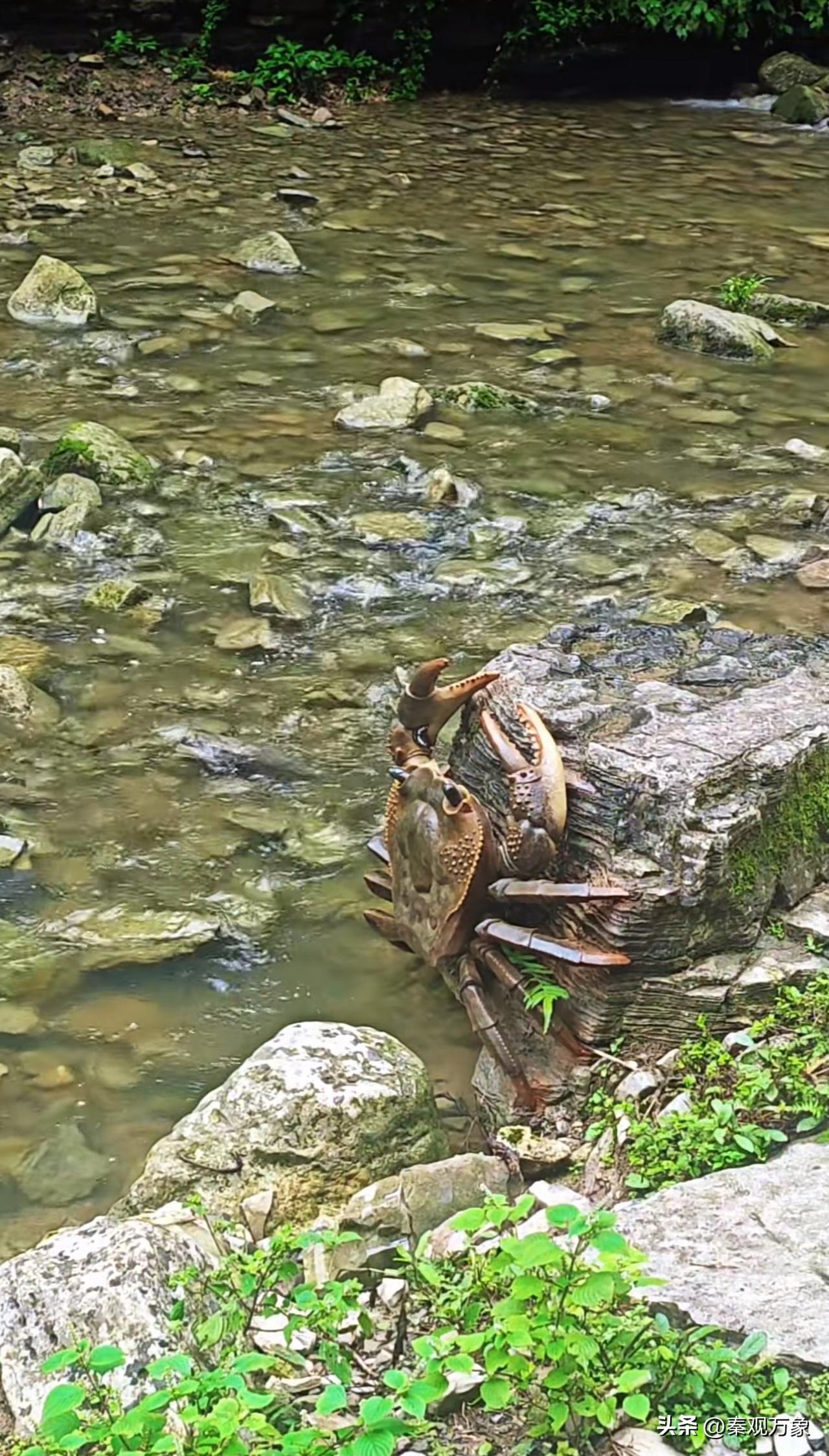 河道中发现的巨蟹螃蟹＃德夯大峡谷
