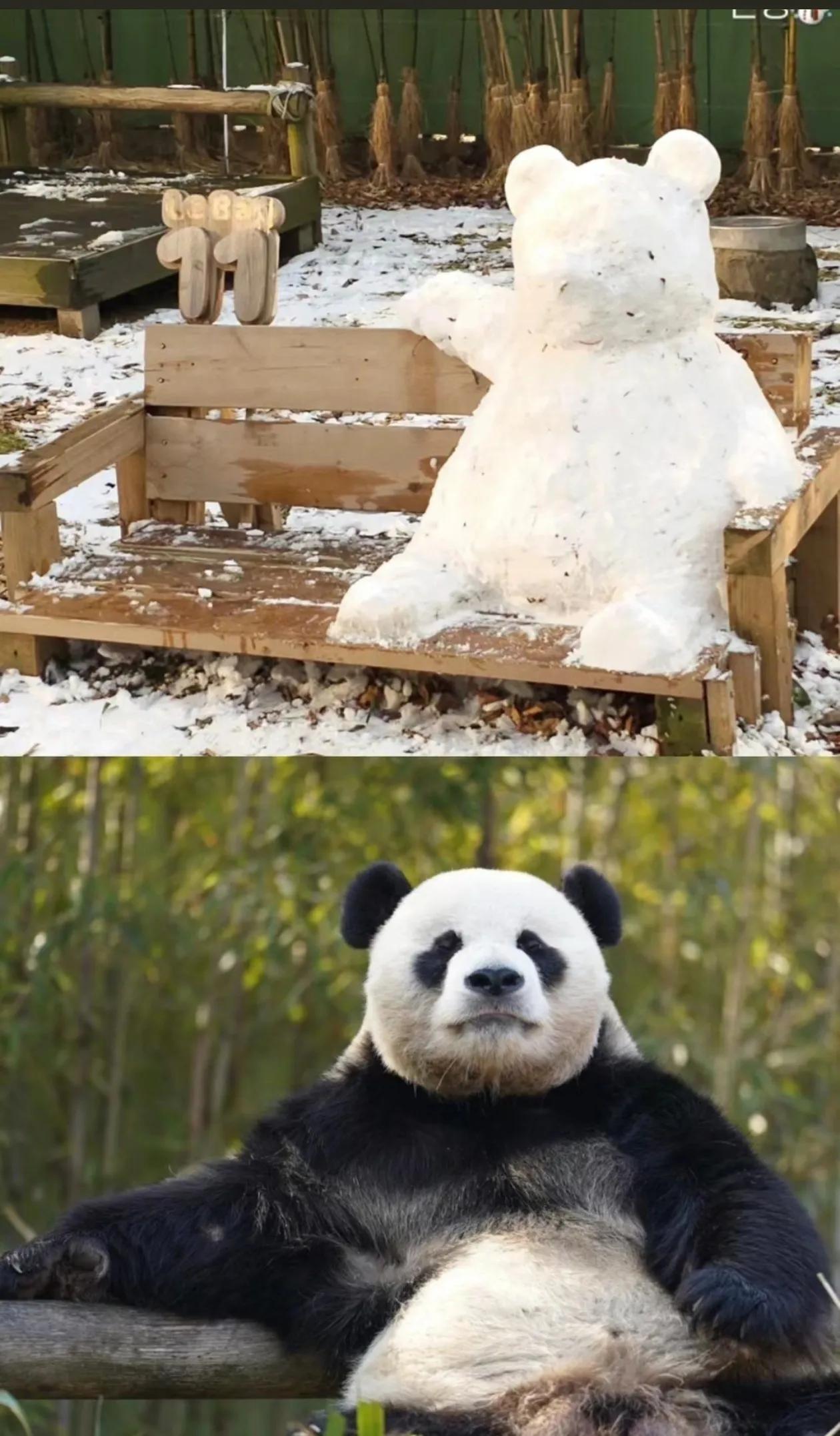 小爱同学是雪中的大女主
乐大爷是雪中的大可爱
这几年大大小小做了无数个雪人⛄
大