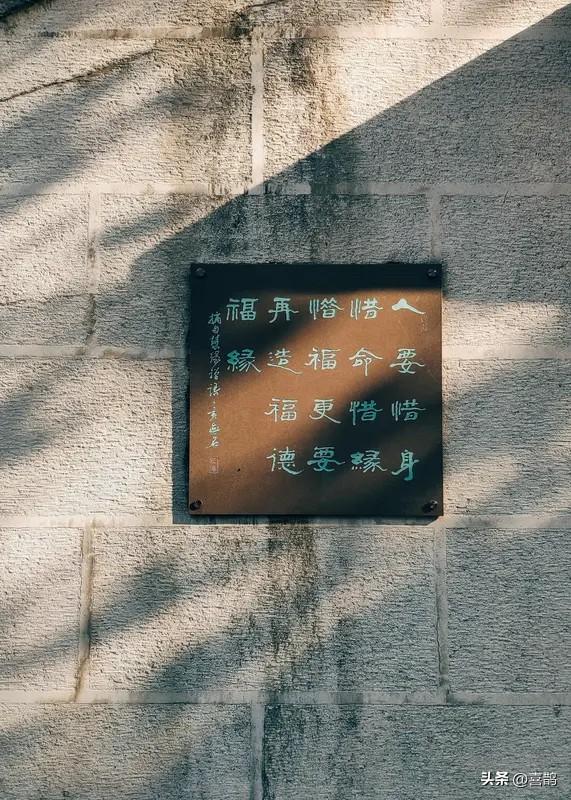 怀赤子情怀，载岁月福报
人生于世，最珍贵的从不是精明的算计，而是藏在心底的情怀，