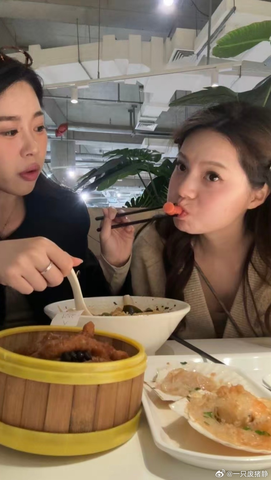 有点宠爱在的日常分享