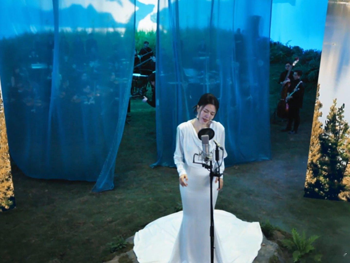 谭维维40种乐器重新演绎向山野 谁还没听过这首宝藏歌曲！40种乐器+自然之声的大