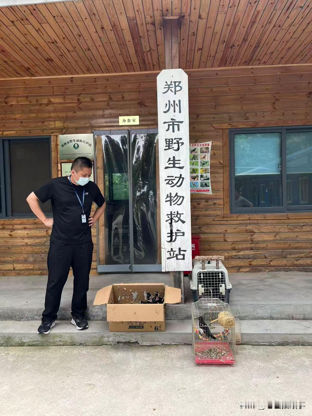 2026年5月13日，郑州市自然资源和规划局二七分局的工作人员移交给郑州市野生动
