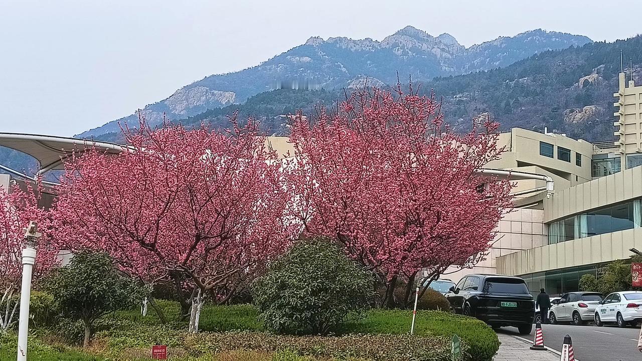 好消息
(随笔)
好消息，早上告诉大家一个好消息！
今天是三月十六日。早上起来，