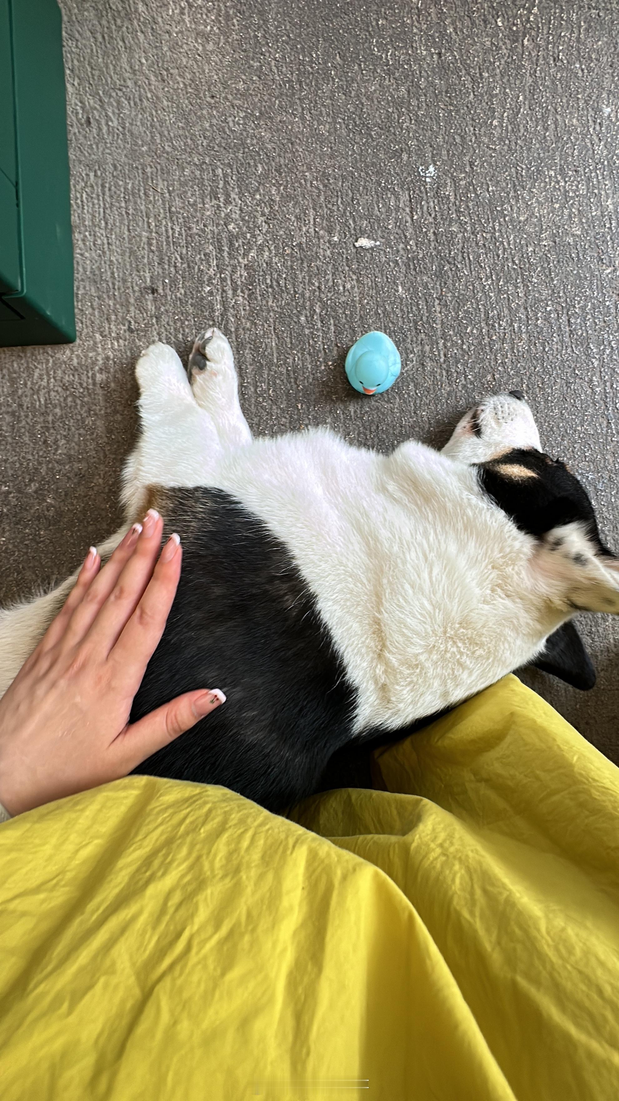 店里不让停车！！ ​​​