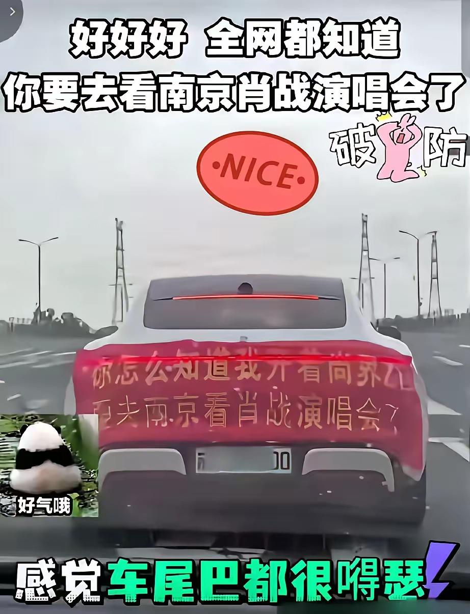 肖战的南京首场演唱会太火爆了，我在网上捡捡零碎的演唱会视频，拼拼凑凑看看都很激动