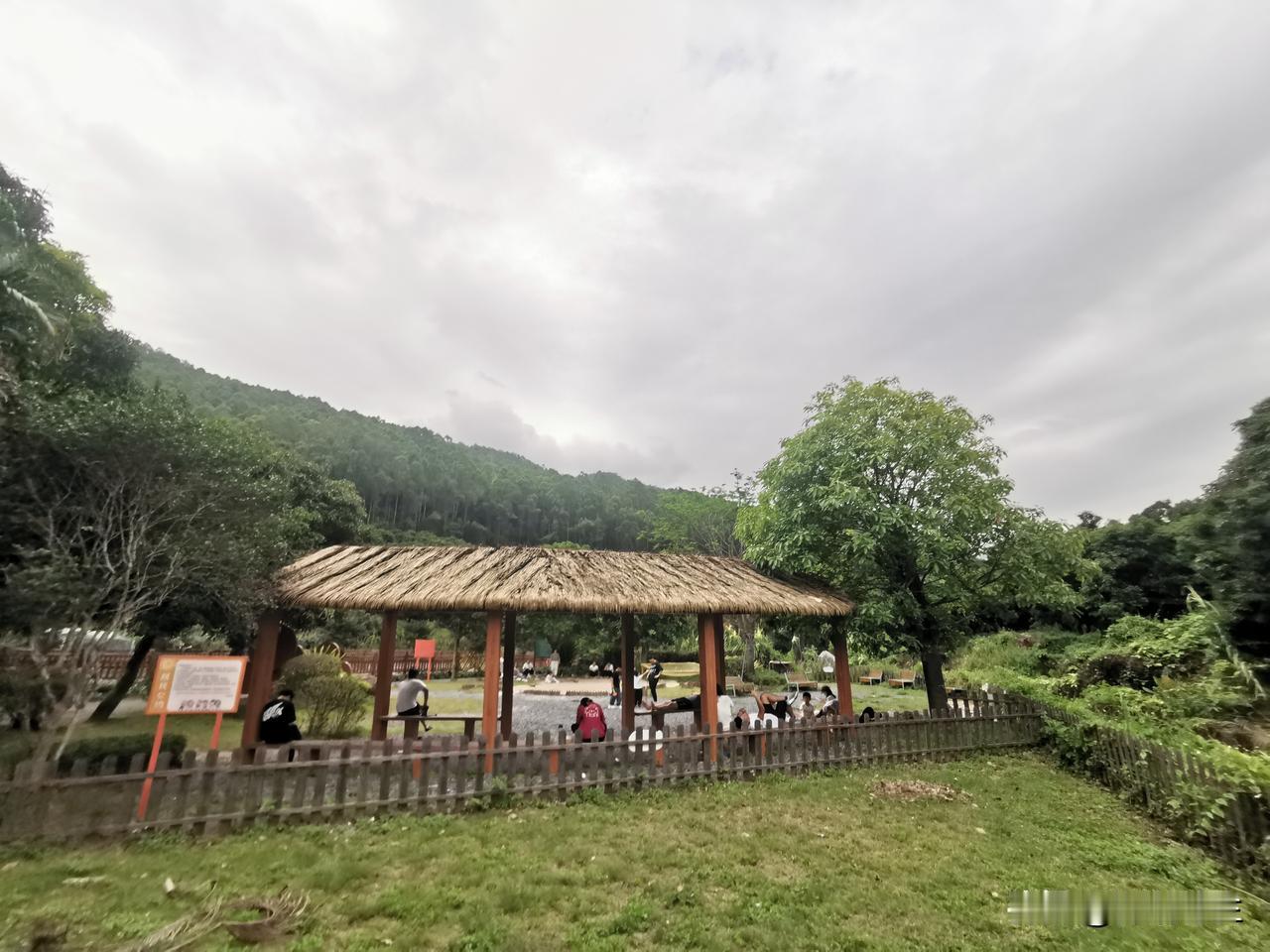 今天5月3号，深圳这雨就跟断了线的珠子似的，从中午一直下到下午，根本停不下来。
