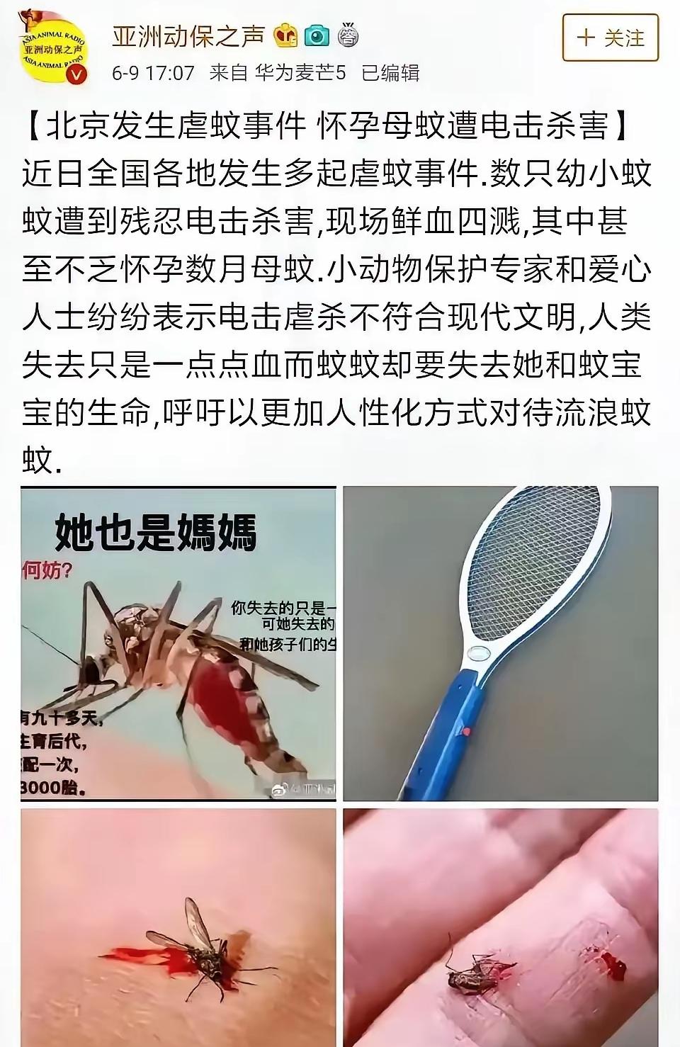 看到这个亚洲动保之声发表的呼吁保护蚊子的声明：人类只流一点点血，蚊子却失去了自己