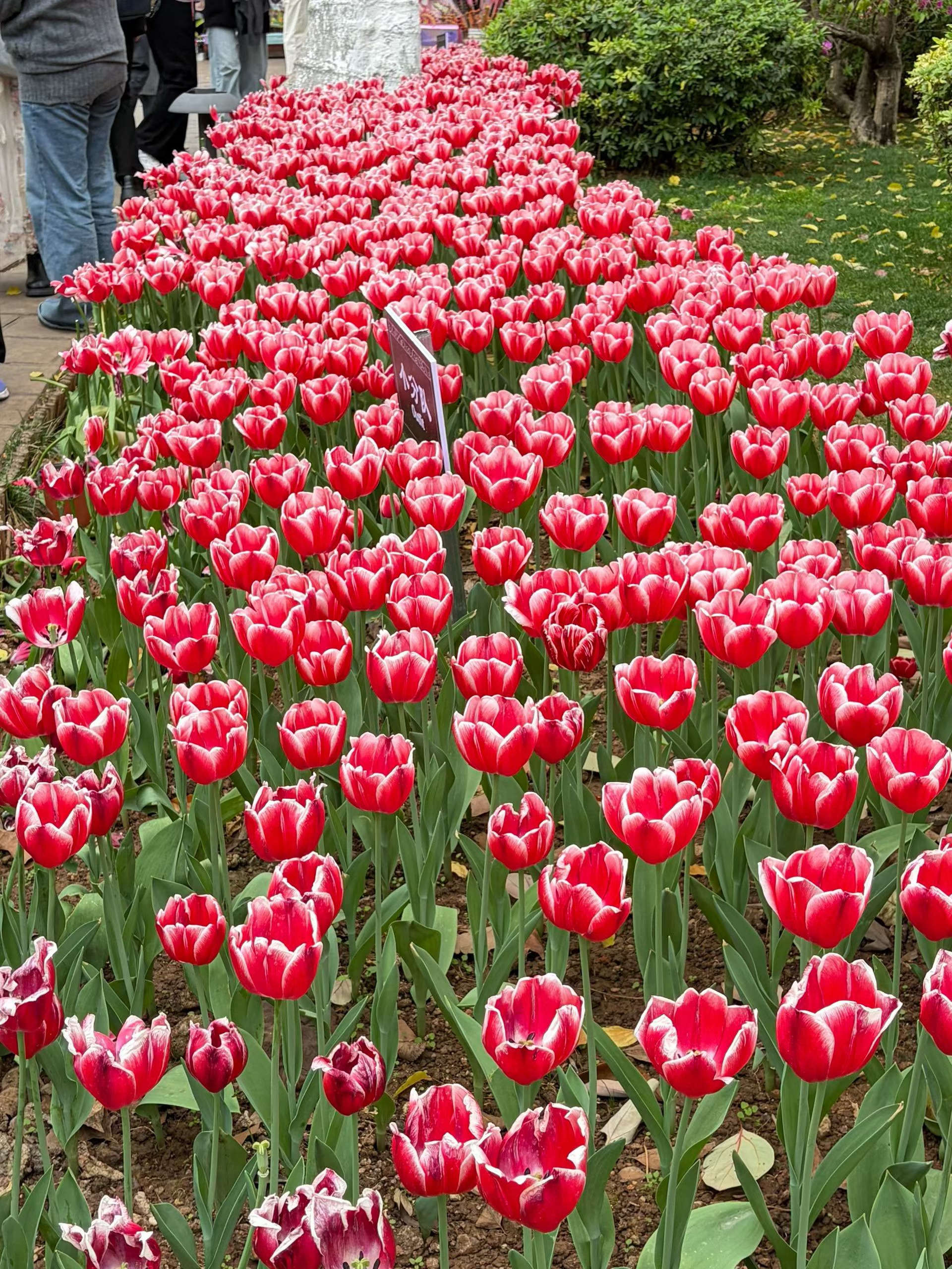 微博年度待改编ip评选pick你心中的改编潜力王 在沙漠里，我们学会了爱黄昏的时