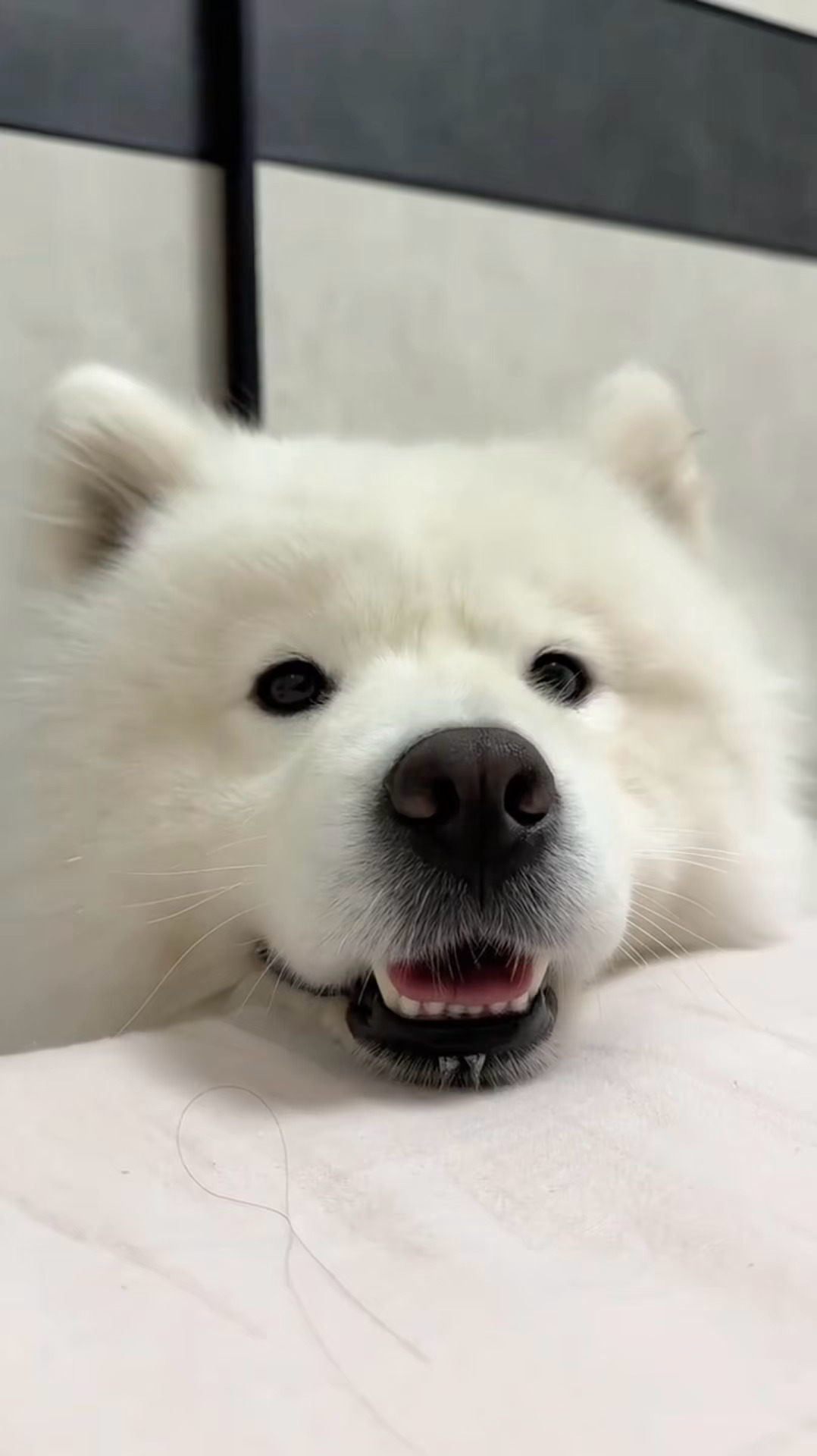 头有点累 