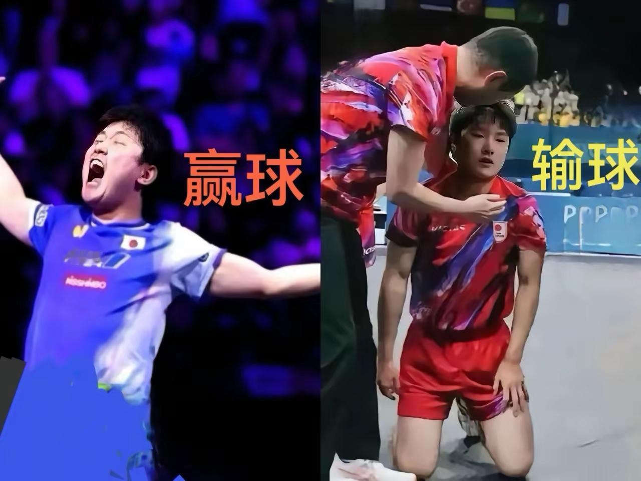 张本智和真给日本人丢脸……