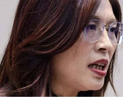 郑丽文这回彻底栽了？蔡正元、郭正亮两位前辈嘴皮子都磨破了，她偏当耳旁风——盲目自