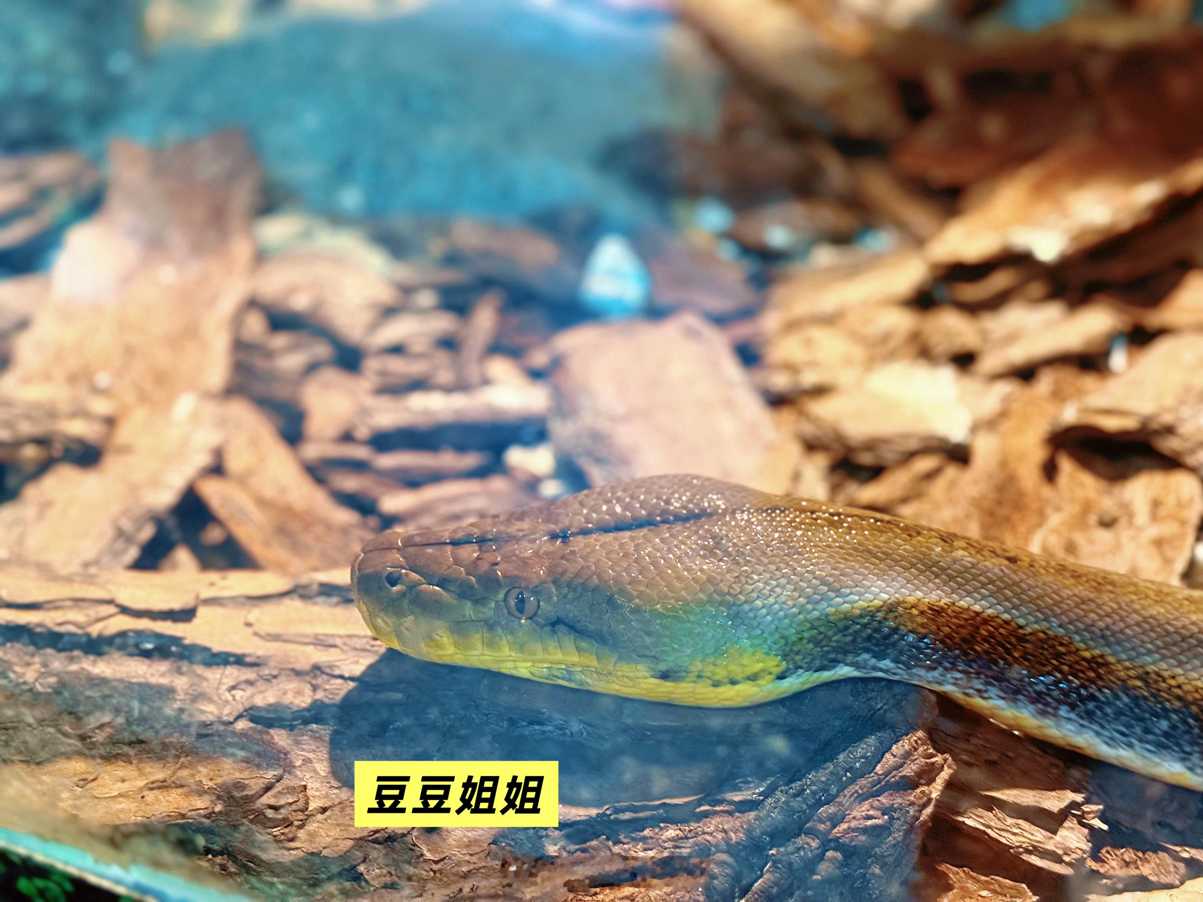 榕妹的虫洞找妈妈找哥哥之旅~ 