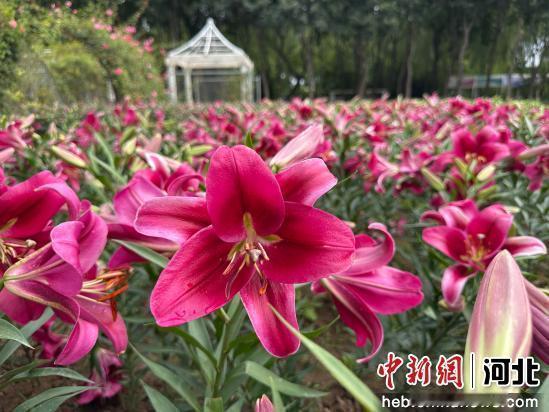 以下是一些今日（2025年10月9日）的新闻：
 
- 特朗普威胁要将伊利诺伊州