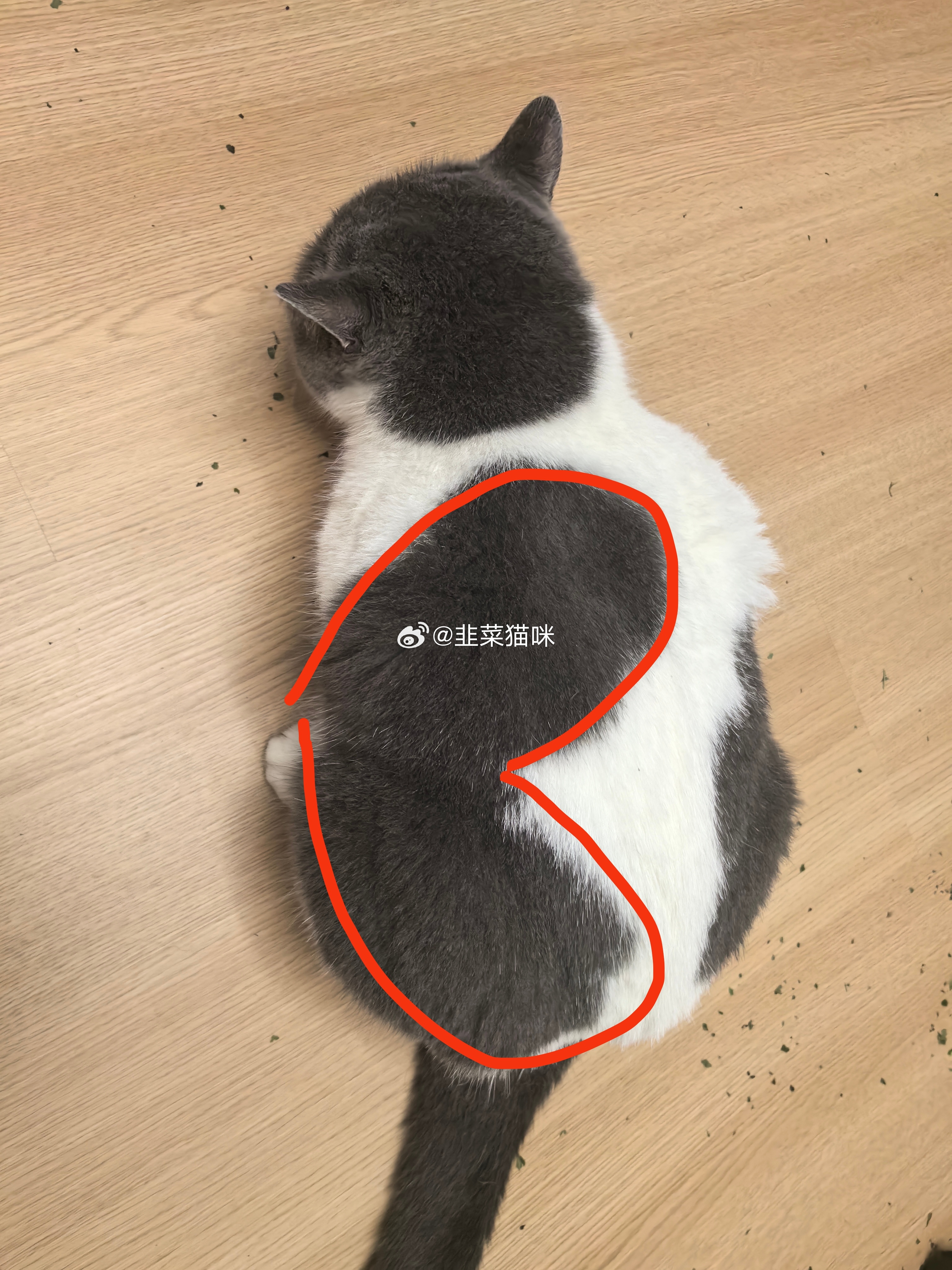 格局，持股。聚焦。知行合一 