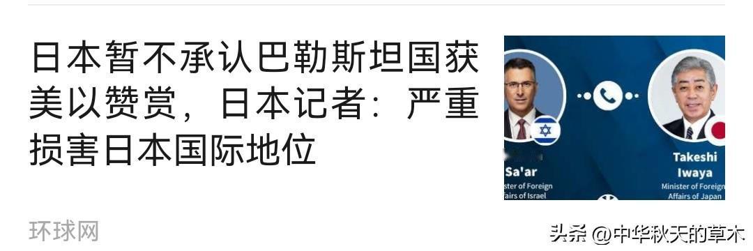 日本貌似在国际上，特别服从美国指使。
   例如美国不让日本承认巴勒斯坦国，日本
