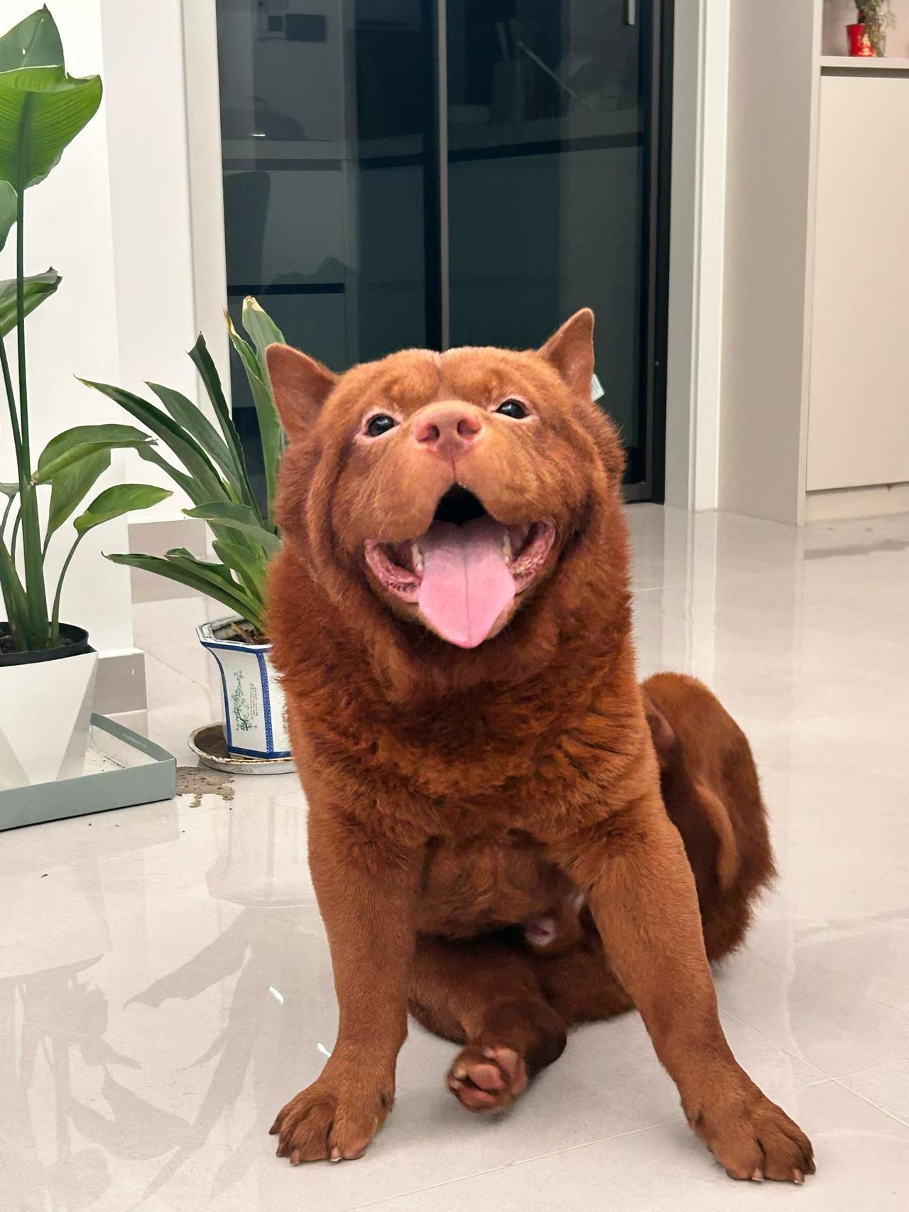 感觉又来了……