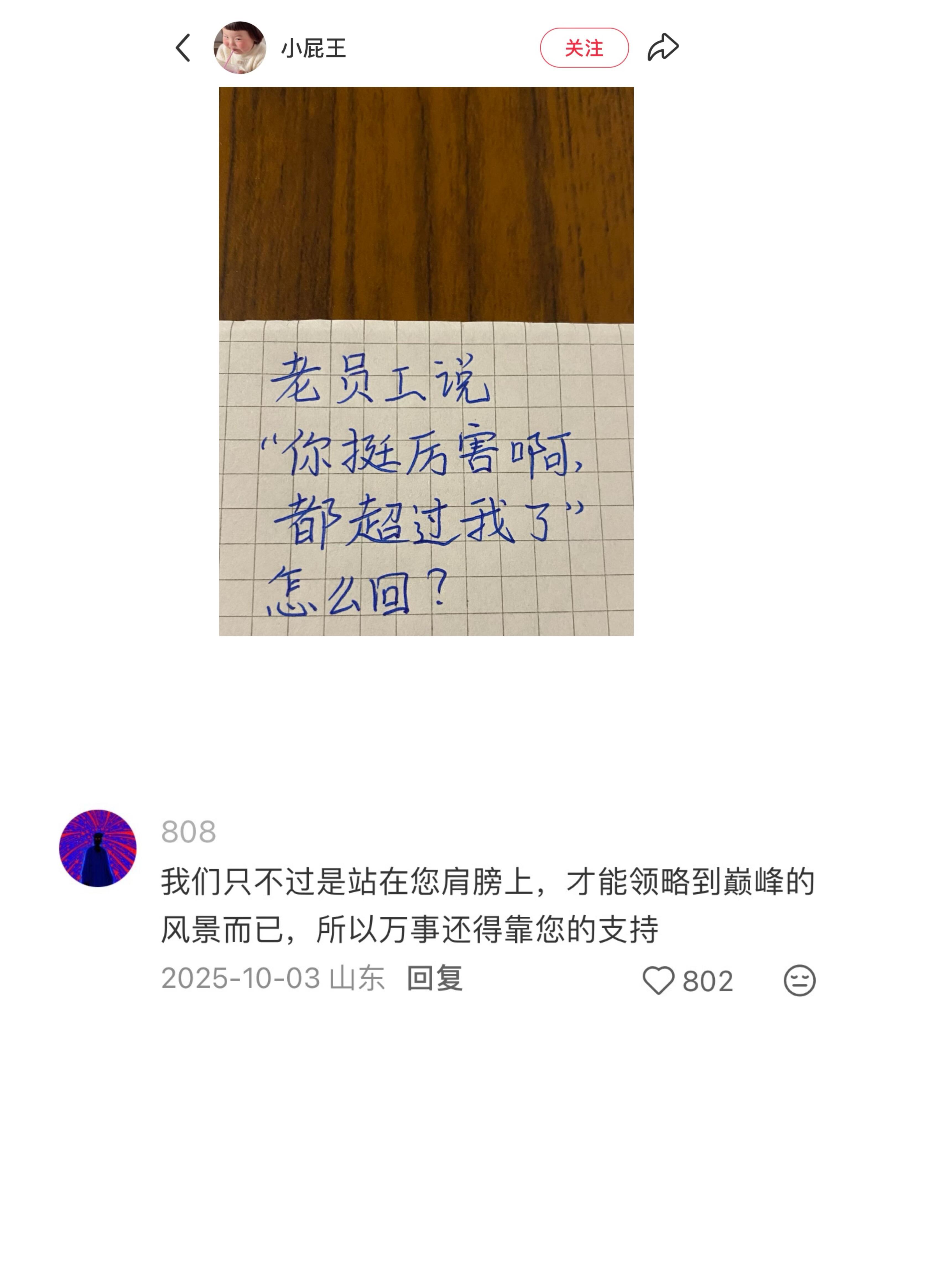 网友的每一句回复都好有水平 ​​​