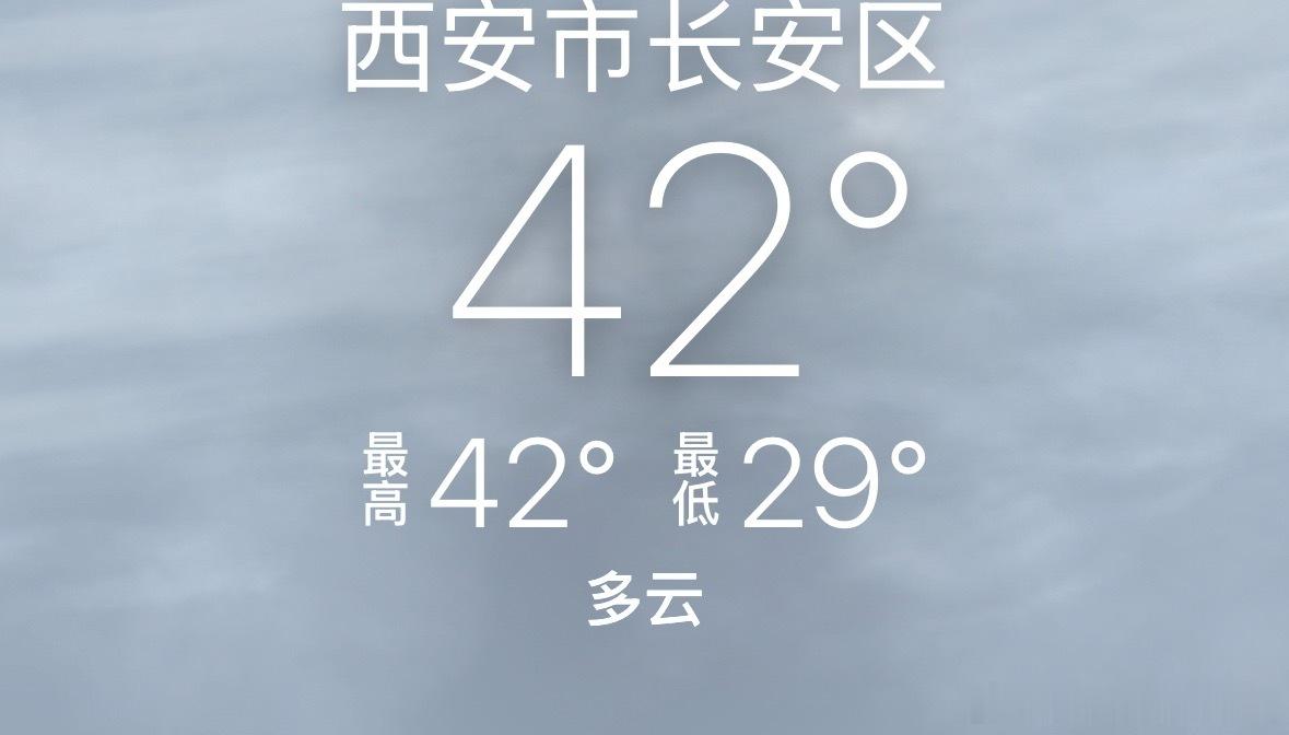 什么意思 