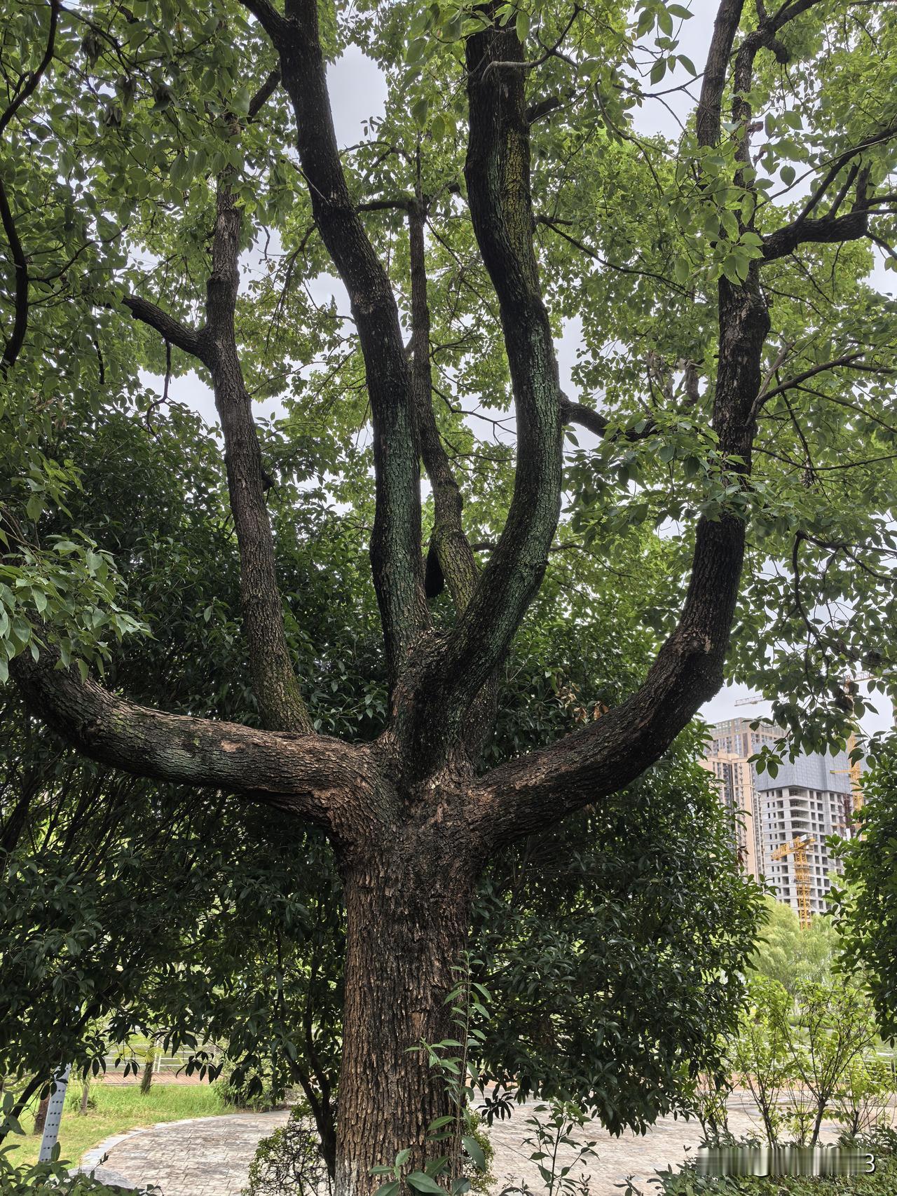 年轻时我活得浮躁，每天追着太阳赶，认为第二天的太阳会有所不同。

现在我60岁了