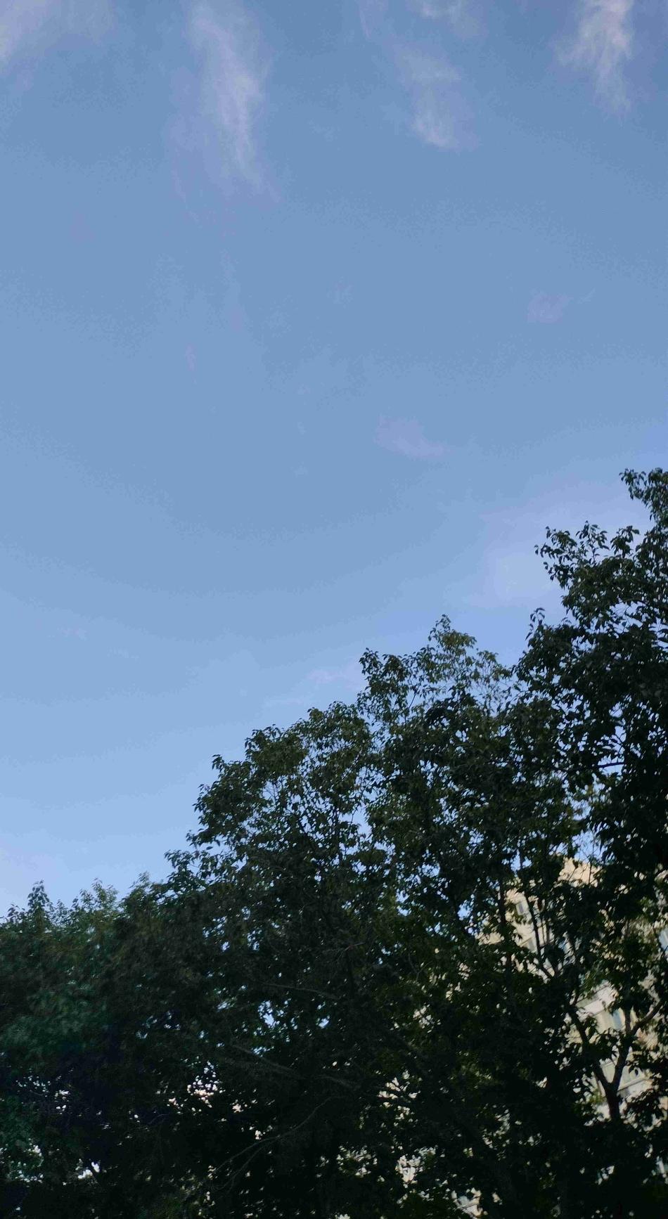 我的今日状态：💰期待暴富
我这里的天气：☀️晴天