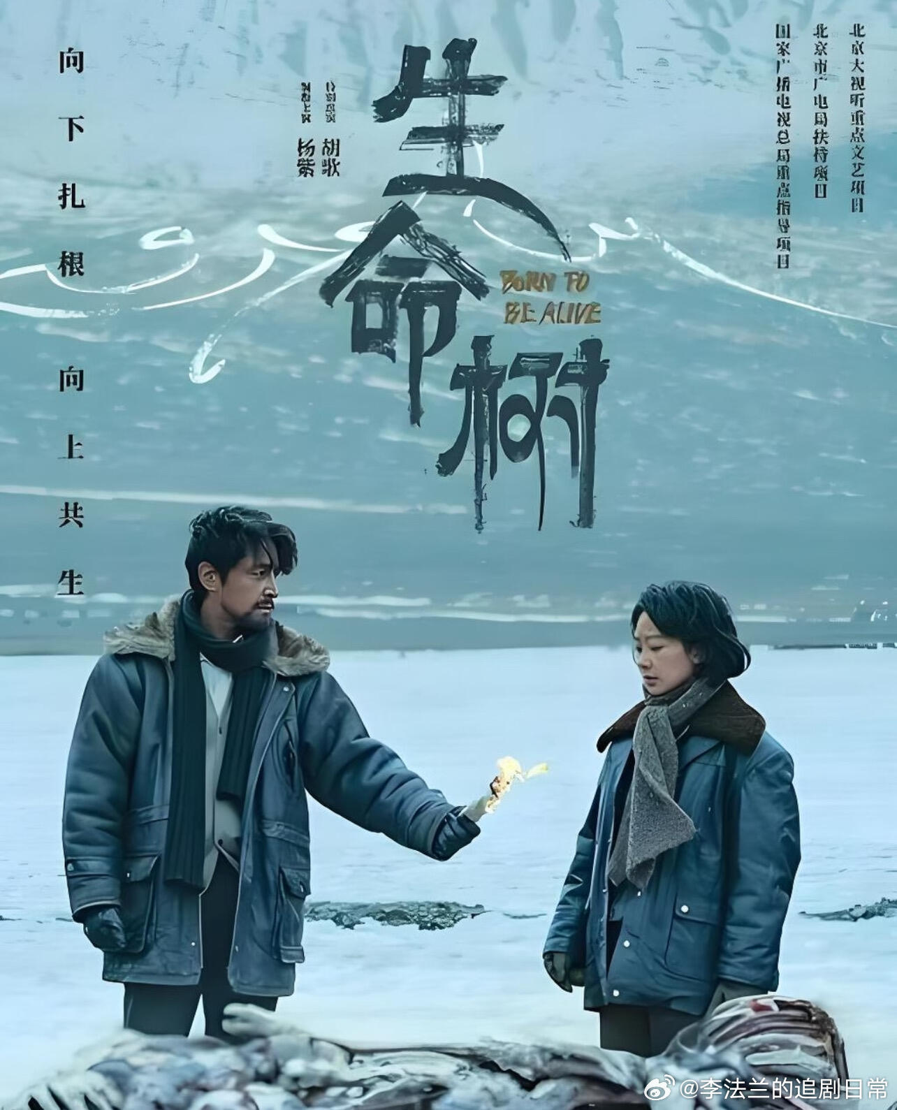 杨紫 白玉兰提名我觉得，白玉兰女主角会是这四位中的一个！孙俪《蛮好的人生》、杨幂