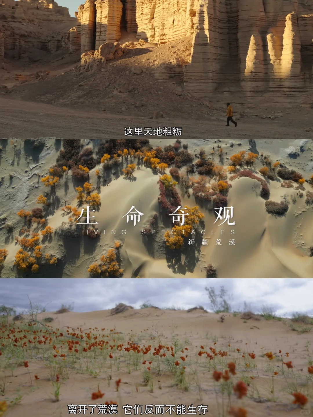 一集封神❗姐妹们快去看❗
