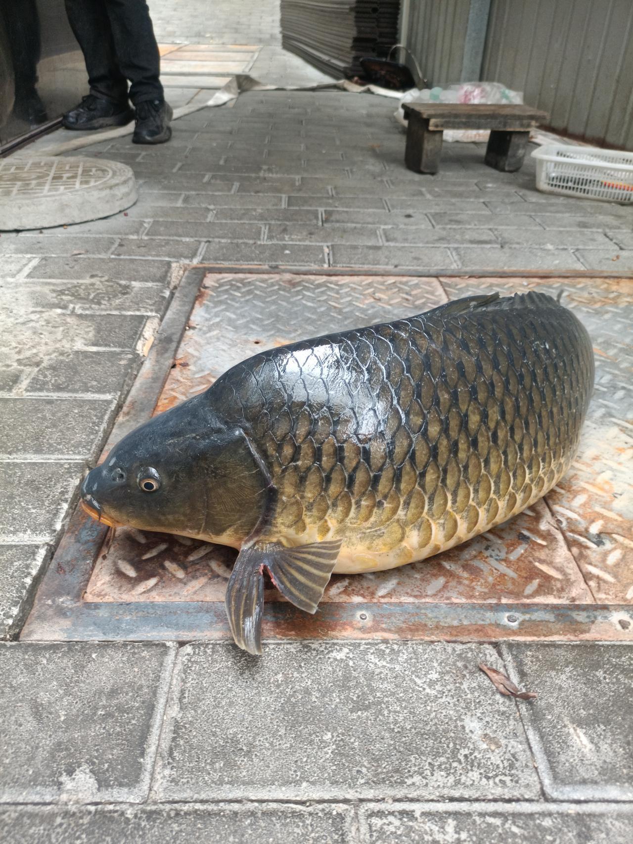 白族酸辣鱼