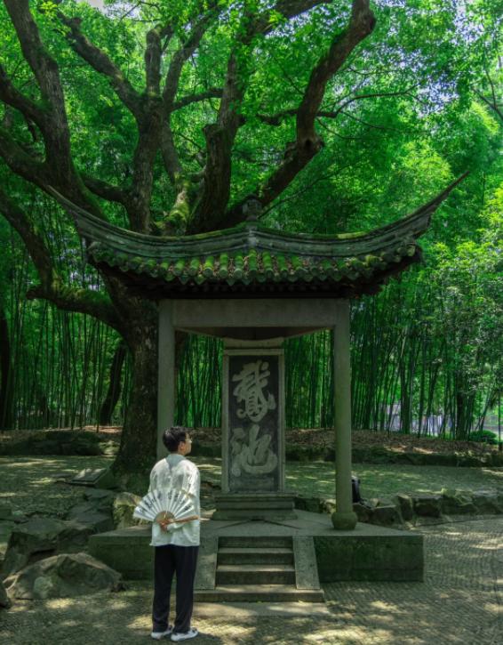 北约怂了？怕吵架想取消峰会
亲爱的朋友们大家好，我是海林小百科！今天我们来看看北
