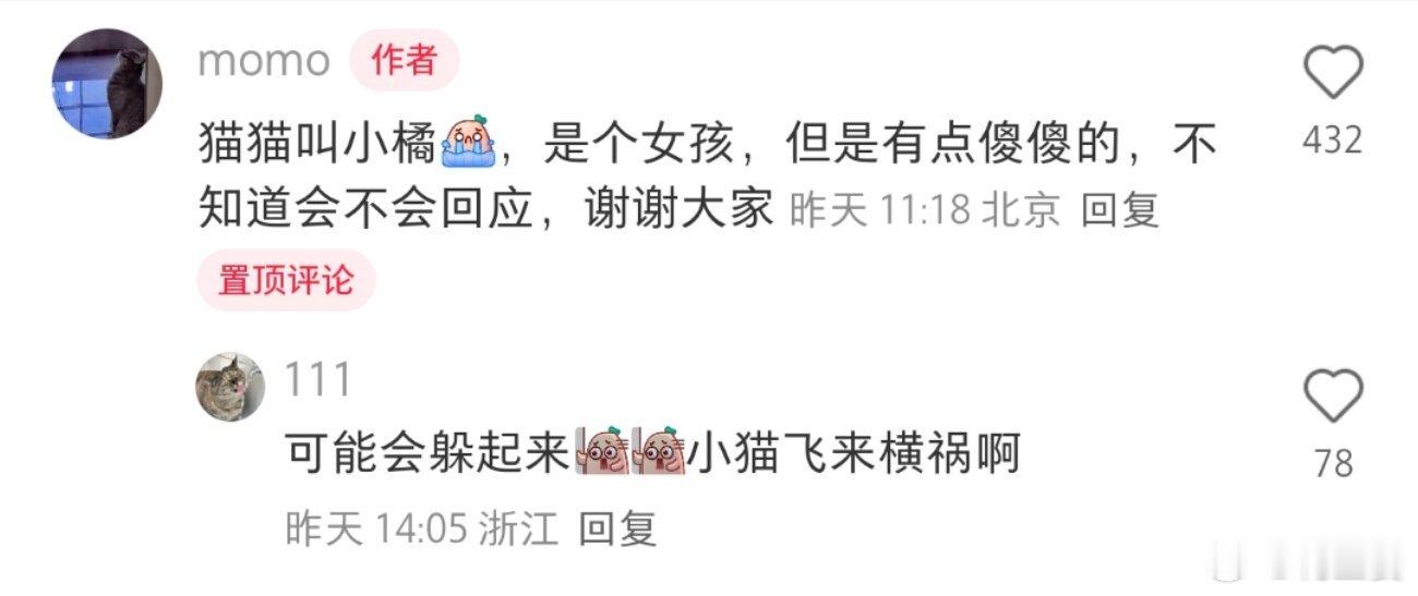 -“房山校区首师大门口交通事故找小猫”希望附近的小伙伴可以注意一下这只小猫，助力