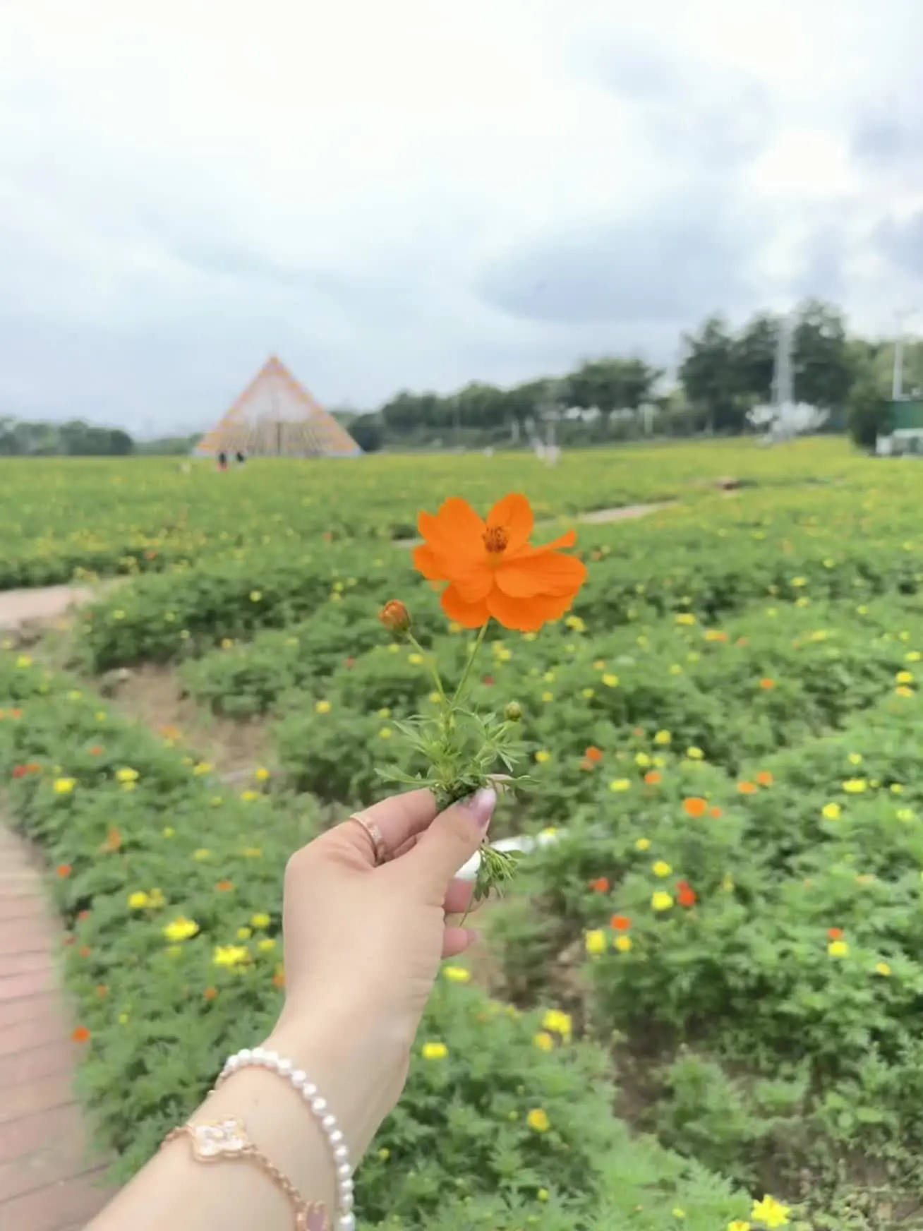 人只有被爱和不爱任何人才能情绪稳😉