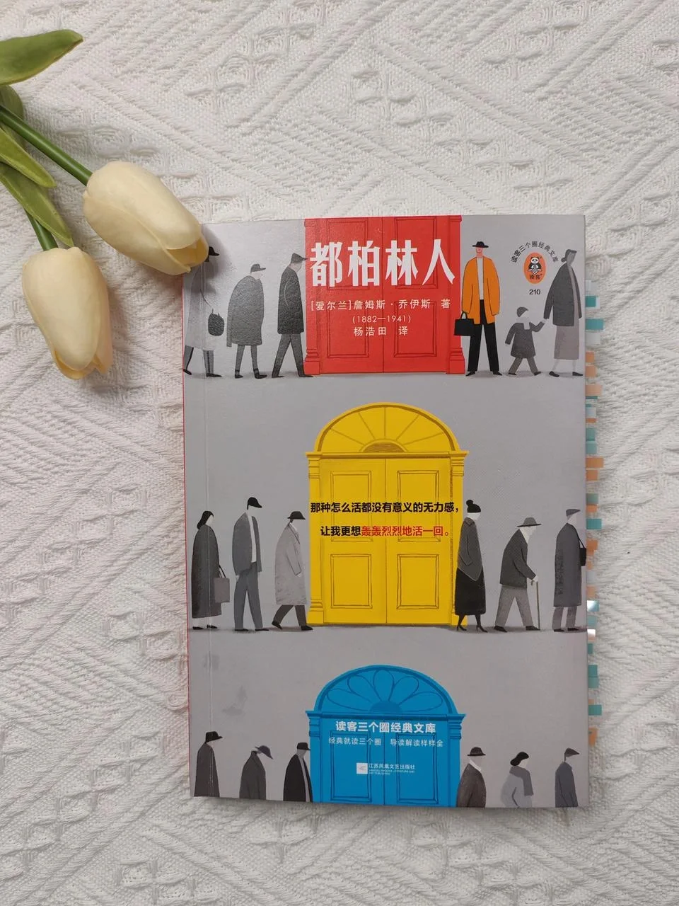 至美之境，美到想哭，爱尔兰的雪夜