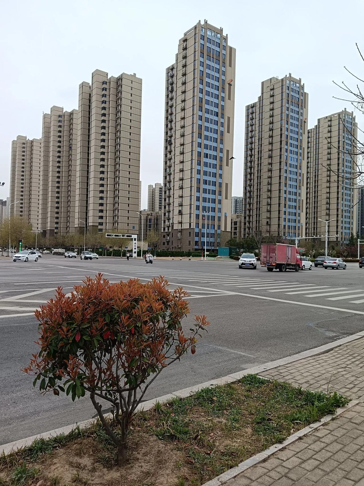 街拍分享商丘